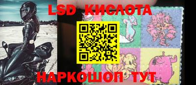 мдпв Новозыбков