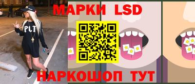 мдпв Новозыбков