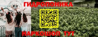 ГАЛЛЮЦИНОГЕННЫЕ ГРИБЫ Новодвинск