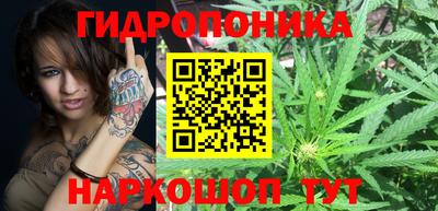 ГАЛЛЮЦИНОГЕННЫЕ ГРИБЫ Новодвинск