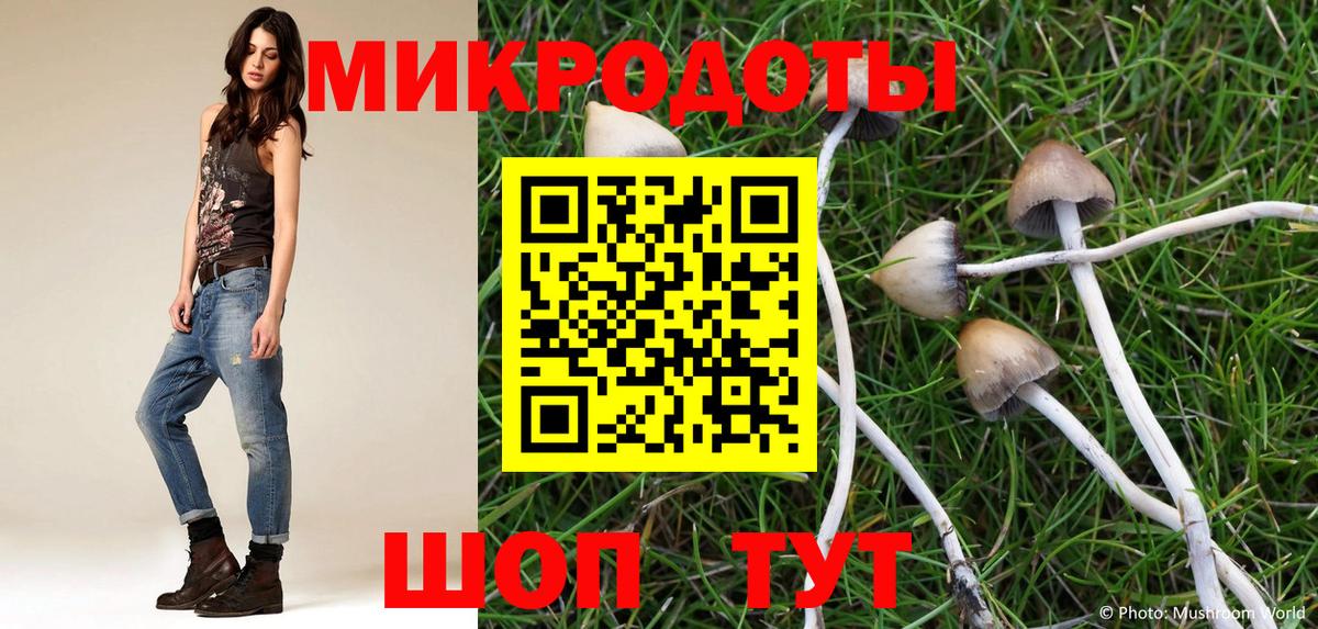 Галлюциногенные грибы MAGIC MUSHROOMS Спасск-Дальний